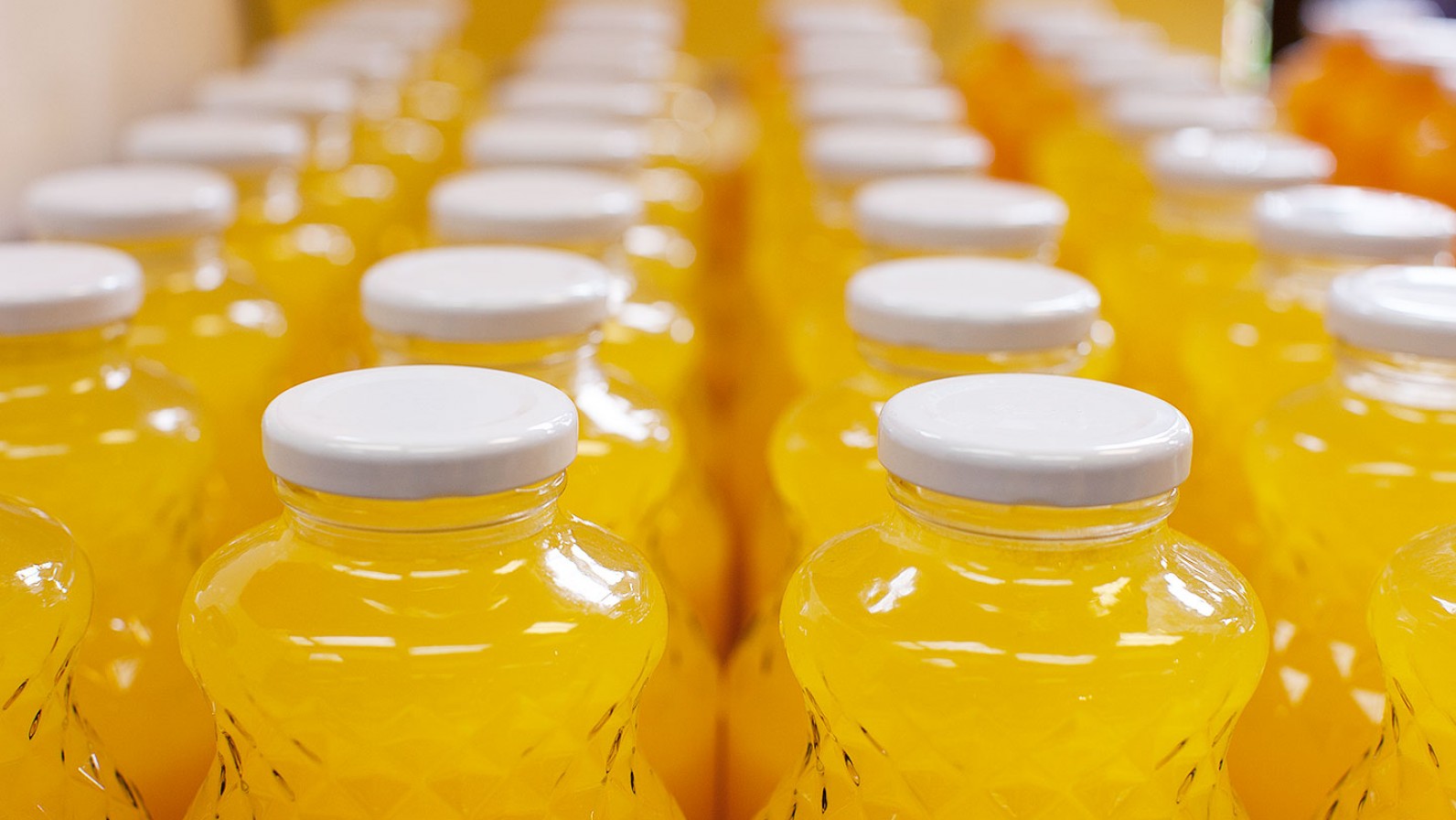 rows and rows of glass bottled delicious fresh squeezed orange juice at antons fruit ranch